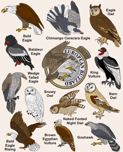 Heritage Craft Birds of Prey