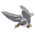 Birds of Prey Graphic