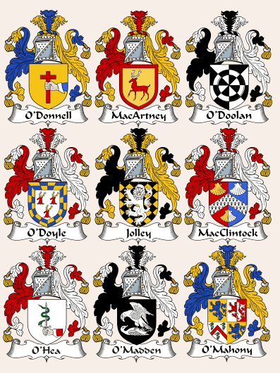 Pride of ireland Coats of Arms