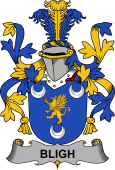 Irish Coat of Arms for Bligh