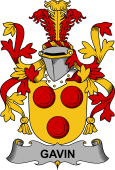 Irish Coat of Arms for Gavin or O
