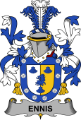 Irish Coat of Arms for Ennis