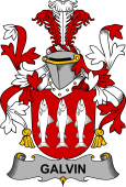 Irish Coat of Arms for Galvin or O