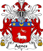 Italian Coat of Arms for Agnes