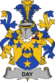 Irish Coat of Arms for Day