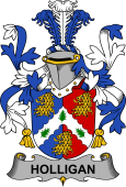 Irish Coat of Arms for Holligan or O