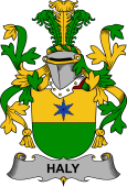 Irish Coat of Arms for Haly or O