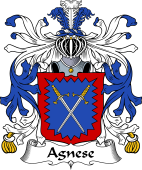 Italian Coat of Arms for Agnese