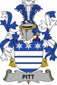 Irish Coat of Arms for Pitt
