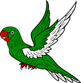 Parrot Volant