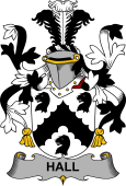 Irish Coat of Arms for Hall or MacHall