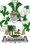 Irish Coat of Arms for Callaghan or O