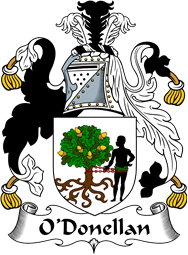 Irish Coat of Arms for O