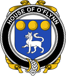 Irish Coat of Arms Badge for the O