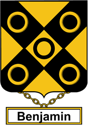English Coat of Arms Shield Badge for Benjamin