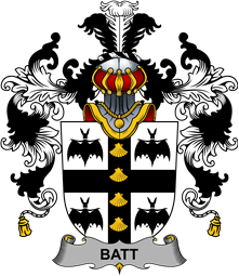 Irish Family Coat of Arms (v.25b) Batt