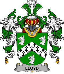 Irish Family Coat of Arms (v.25b) Lloyd
