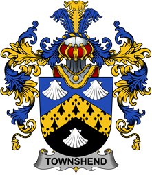 Irish Family Coat of Arms (v.25b) Townshend or Townsend