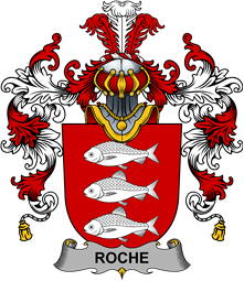 Irish Family Coat of Arms (v.25b) Roche