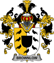 Irish Family Coat of Arms (v.25b) Brownlow