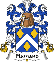 Coat of Arms from France for Flamand