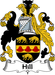 Irish Coat of Arms for Hill