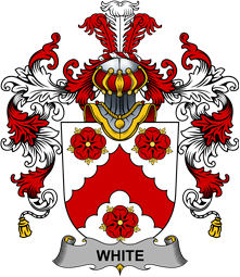 Irish Family Coat of Arms (v.25b) White or Whyte