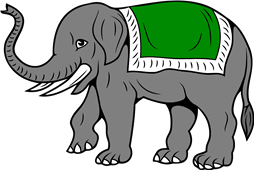Elephant Passant with Blanket