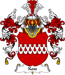 German Wappen Coat of Arms (v.25) Koss