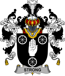 Irish Family Coat of Arms (v.25b) Strong