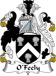 Irish Coat of Arms for O