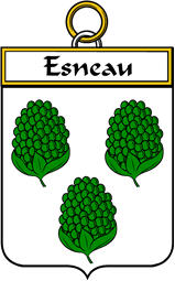 French Coat of Arms Badge for Esneau