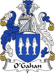 Irish Coat of Arms for O