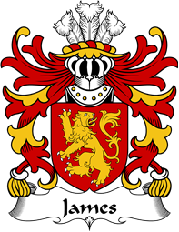 Welsh Coat of Arms for James (AP RHYS AP MAREDUDD)