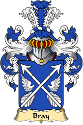 French Family Coat of Arms (v.23) for Bray