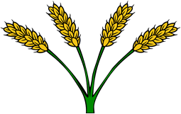 Wheat Stalks (4)