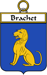 French Coat of Arms Badge for Brachet
