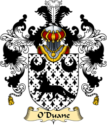 Irish Family Coat of Arms (v.25a) O