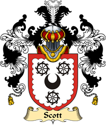 Irish Family Coat of Arms (v.25a) Scott