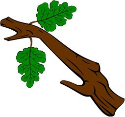 Oak Branch (for perching)