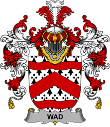 Irish Family Coat of Arms (v.25b) Wad