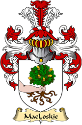 Irish Family Coat of Arms (v.23) for MacLoskie or MacLuskie