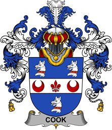 Irish Family Coat of Arms (v.25b) Cook