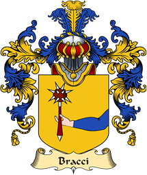 Italian Family Coat of Arms (v.25a) Bracci