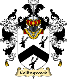 English Family Coat of Arms (v.25) Collingwood