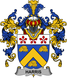 Irish Family Coat of Arms (v.25b) Harris