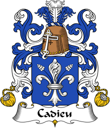 Coat of Arms from France for Cadiou or Cadieu