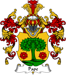 German Wappen Coat of Arms (v.25) Pape