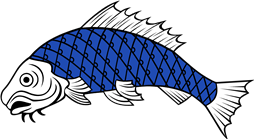 Carp Naiant Embowed