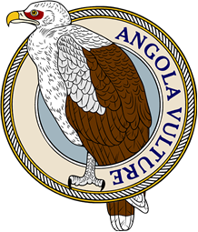 Angola or Palm-Nut Vulture-M